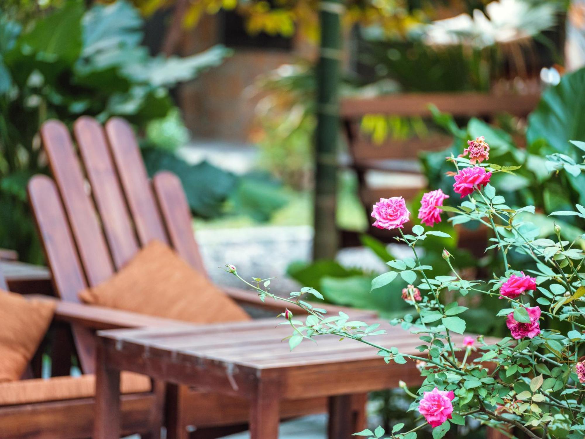 נין בין Cozy Beer Garden Homestay מראה חיצוני תמונה