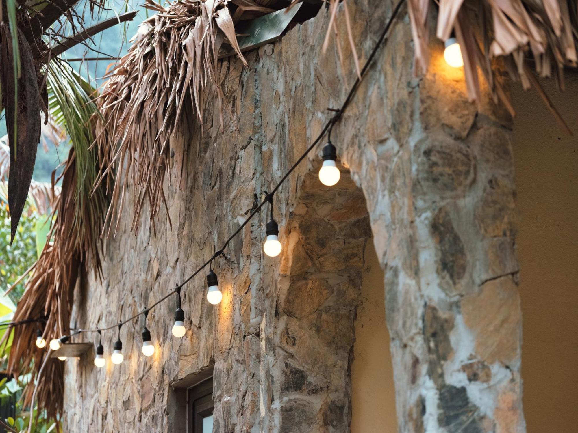 נין בין Cozy Beer Garden Homestay מראה חיצוני תמונה